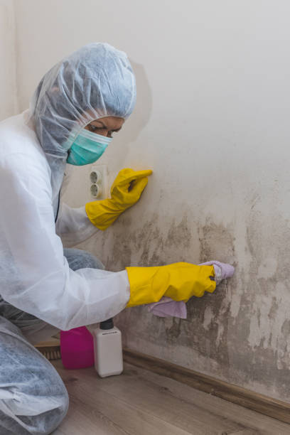 Best Dehumidification Services  in Centerburg, OH
